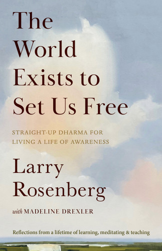The World Exists to Set Us Free: Straight-Up Dharma for Living a Life of Awareness book cover by Larry Rosenberg, Madeline Drexler
