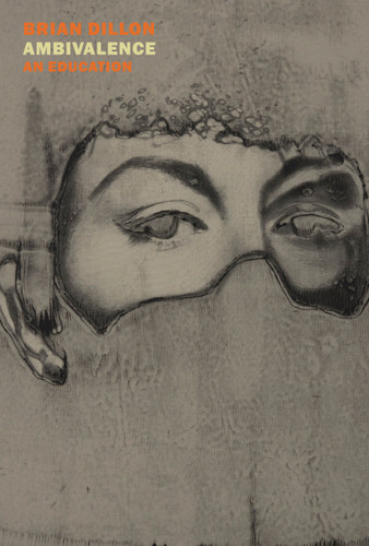 Ambivalence: An Education book cover by Brian Dillon