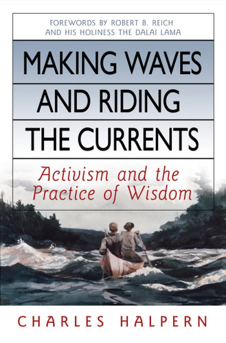 Making Waves and Riding the Currents: Activism and the Practice of Wisdom book cover by Charles Halpern