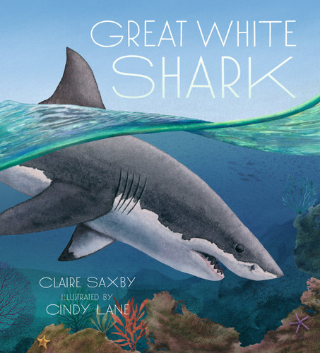 Great White Shark book cover by Claire Saxby