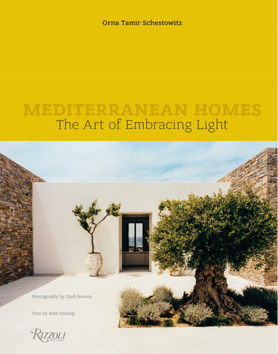 Mediterranean Homes: The Art of Embracing Light book cover by 