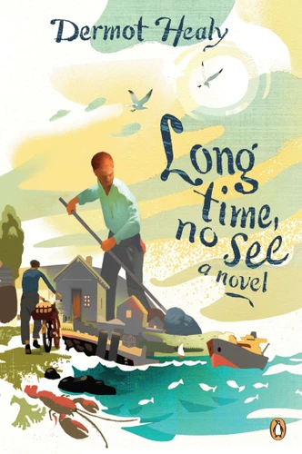Long Time, No See: A Novel book cover by Dermot Healy
