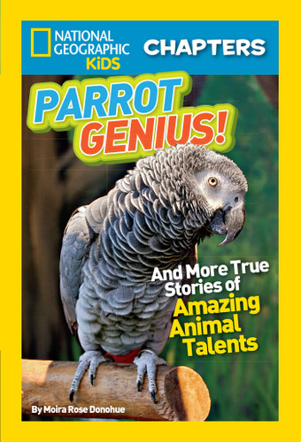 National Geographic Kids Chapters: Parrot Genius!: And More True Stories of Amazing Animal Talents (NGK Chapters) book cover by Moira Rose Donohue
