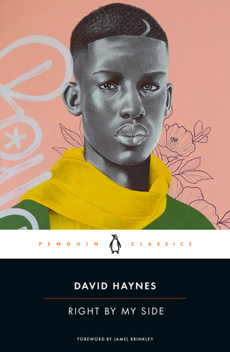 Right by My Side book cover by David Haynes
