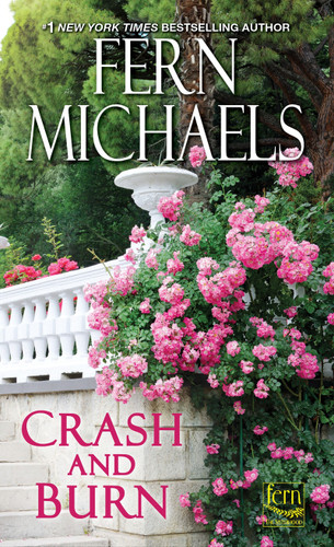 Crash and Burn (Sisterhood) book cover by Fern Michaels