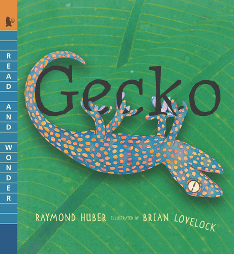 Gecko: Read and Wonder (Read and Wonder) book cover by Raymond Huber