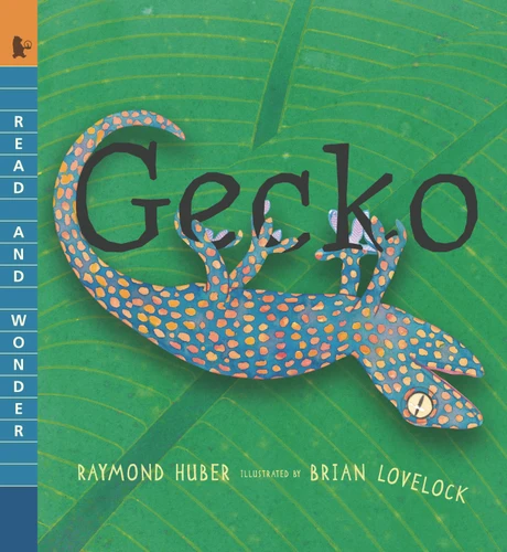Gecko: Read and Wonder (Read and Wonder) book cover by Raymond Huber