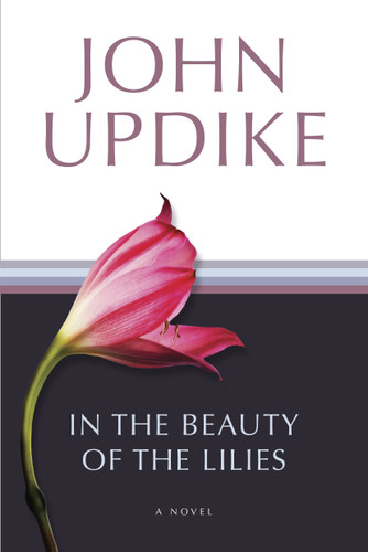 In the Beauty of the Lilies: A Novel book cover by John Updike