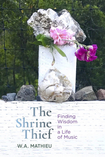 The Shrine Thief book cover by W. A. Mathieu