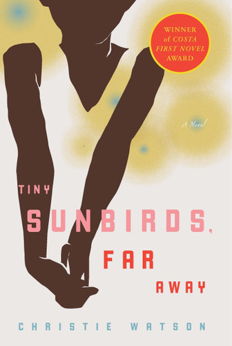 Tiny Sunbirds, Far Away: A Novel book cover by Christie Watson