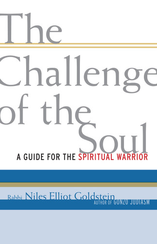 The Challenge of the Soul: A Guide for the Spiritual Warrior book cover by Rabbi Niles Elliot Goldstein