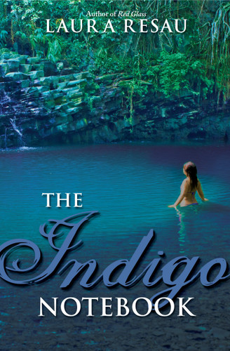 The Indigo Notebook (Notebook Series) book cover by Laura Resau