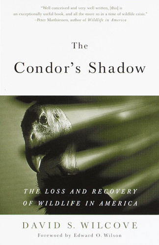 The Condor's Shadow: The Loss and Recovery of Wildlife in America book cover by David S. Wilcove
