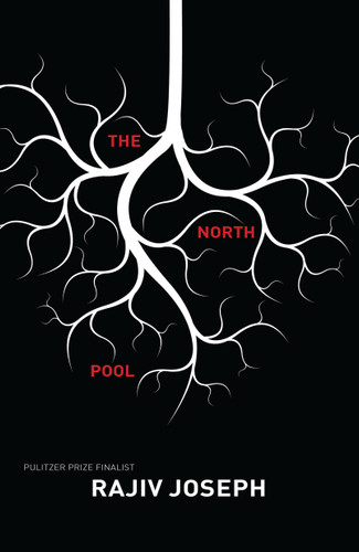 The North Pool book cover by Rajiv Joseph