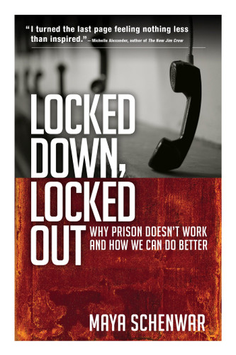 Locked Down, Locked Out: Why Prison Doesn't Work and How We Can Do Better book cover by Maya Schenwar