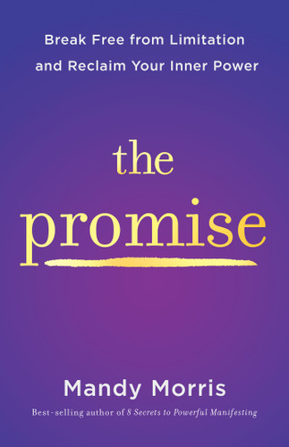 The Promise: Break Free from Limitation and Reclaim Your Inner Power book cover by Mandy Morris