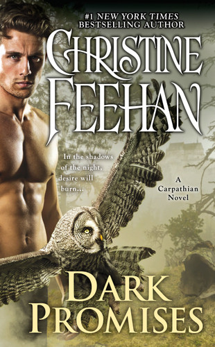 Dark Promises (A Carpathian Novel) book cover by Christine Feehan
