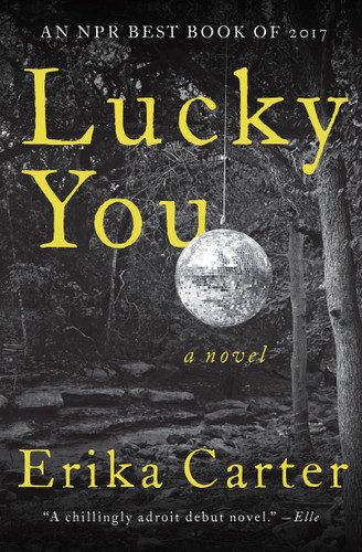 Lucky You: A Novel book cover by Erika Carter