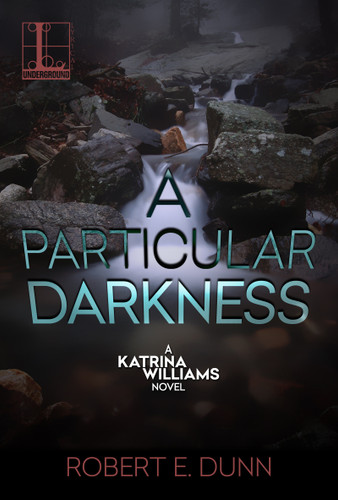 A Particular Darkness (A Katrina Williams Novel) book cover by Robert E. Dunn