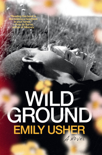 Wild Ground: A Novel book cover by Emily Usher