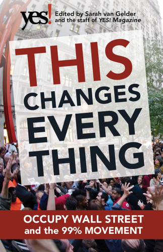 This Changes Everything: Occupy Wall Street and the 99% Movement book cover by 