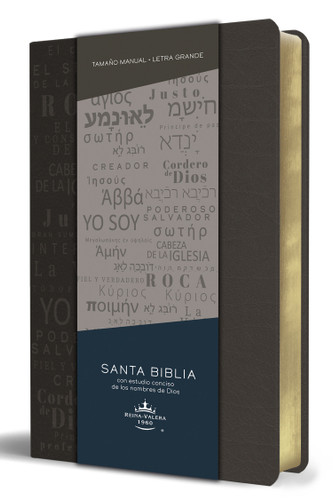 Biblia RVR 1960 letra grande tamaño manual, simil piel gris con nombres de Dios / Spanish Bible RVR 1960 Handy Size Large Print Leathersoft Grey, Names of god book cover by Reina Valera Revisada 1960