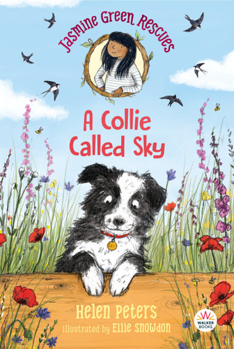 Jasmine Green Rescues: A Collie Called Sky (Jasmine Green) book cover by Helen Peters
