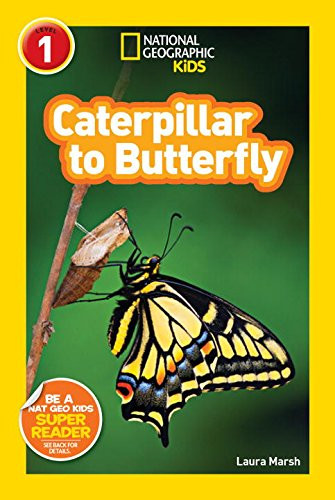 Caterpillar to Butterfly [Paperback] Cover