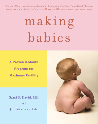 Making Babies: A Proven 3-Month Program for Maximum Fertility book cover by Sami S. David, Jill Blakeway