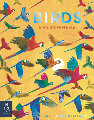 Birds Everywhere (Animals Everywhere) book cover by Camilla De La Bedoyere