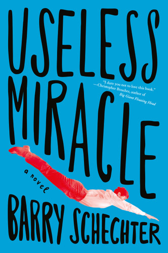 Useless Miracle book cover by Barry Schechter