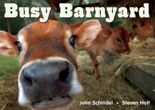 Busy Barnyard (A Busy Book) book cover by John Schindel