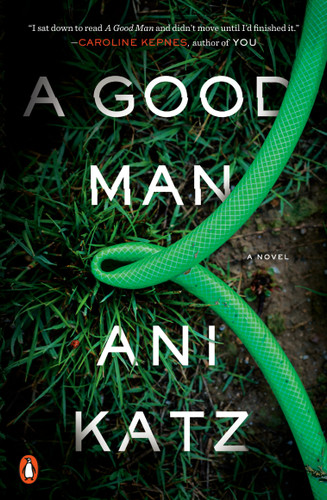 A Good Man: A Novel book cover by Ani Katz