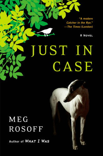 Just in Case book cover by Meg Rosoff