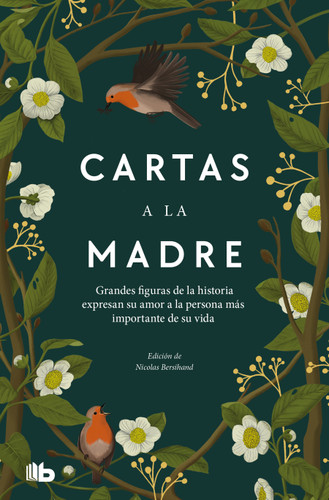 Cartas a la madre / Letters to Mom book cover by Nicolas Bersihand