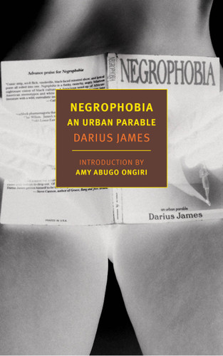 Negrophobia: An Urban Parable book cover by Darius James