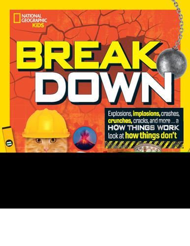 Break Down: Explosions, implosions, crashes, crunches, cracks, and more ... a How Things Work look at how things don't (NGK How Things Work) book cover by Mara Grunbaum