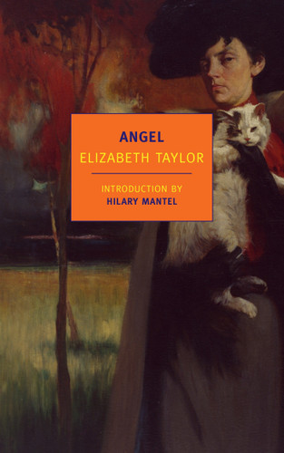 Angel book cover by Elizabeth Taylor