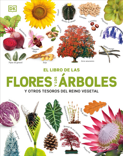 El Libro de las flores y los árboles (Our World in Pictures: Trees, Leaves, Flowers & Seeds) (DK Our World in Pictures) book cover by DK