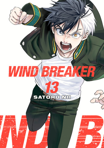 WIND BREAKER 13 (WIND BREAKER) book cover by Satoru Nii