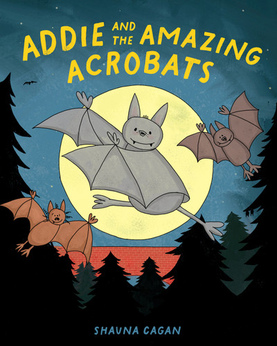 Addie and the Amazing Acrobats book cover by Shauna Cagan