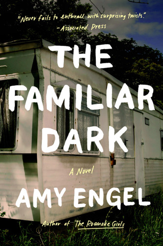 The Familiar Dark: A Novel book cover by Amy Engel