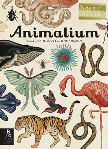 Animalium: Welcome to the Museum (Welcome to the Museum) book cover by Jenny Broom