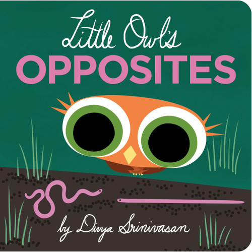 Little Owl's Opposites (Little Owl) book cover by Divya Srinivasan