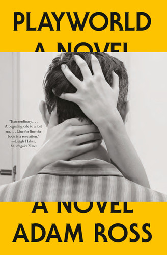 Playworld: A Novel book cover by Adam Ross