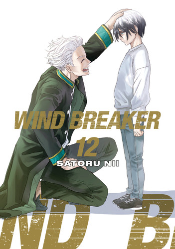 WIND BREAKER 12 (WIND BREAKER) book cover by Satoru Nii