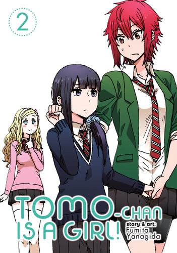 Tomo-chan is a Girl! Vol. 2 (Tomo-chan is a Girl!) book cover by Fumita Yanagida