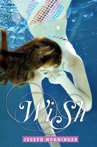 Wish book cover by Joseph Monninger