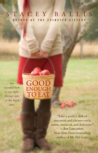 Good Enough to Eat book cover by Stacey Ballis