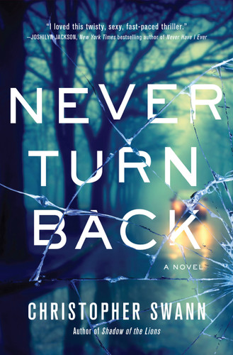 Never Turn Back: A Novel (A Faulkner Family Thriller) book cover by Christopher Swann